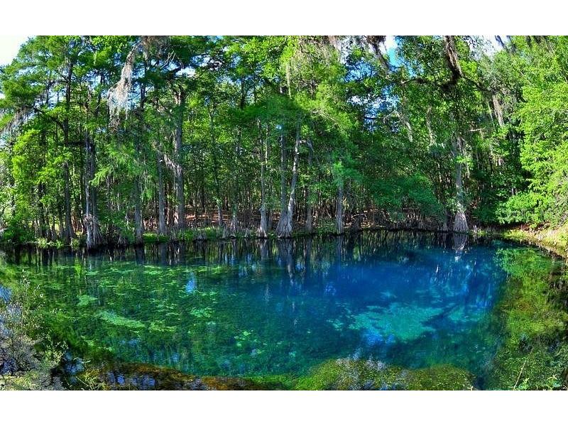  Chiefland FL 32626 GC535582 image5