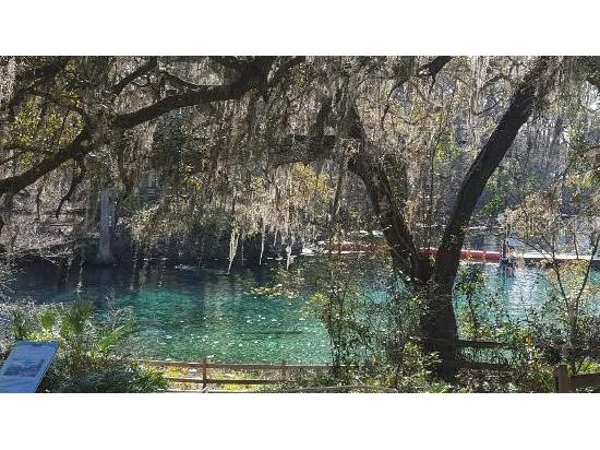  Chiefland FL 32626 GC535582 image6