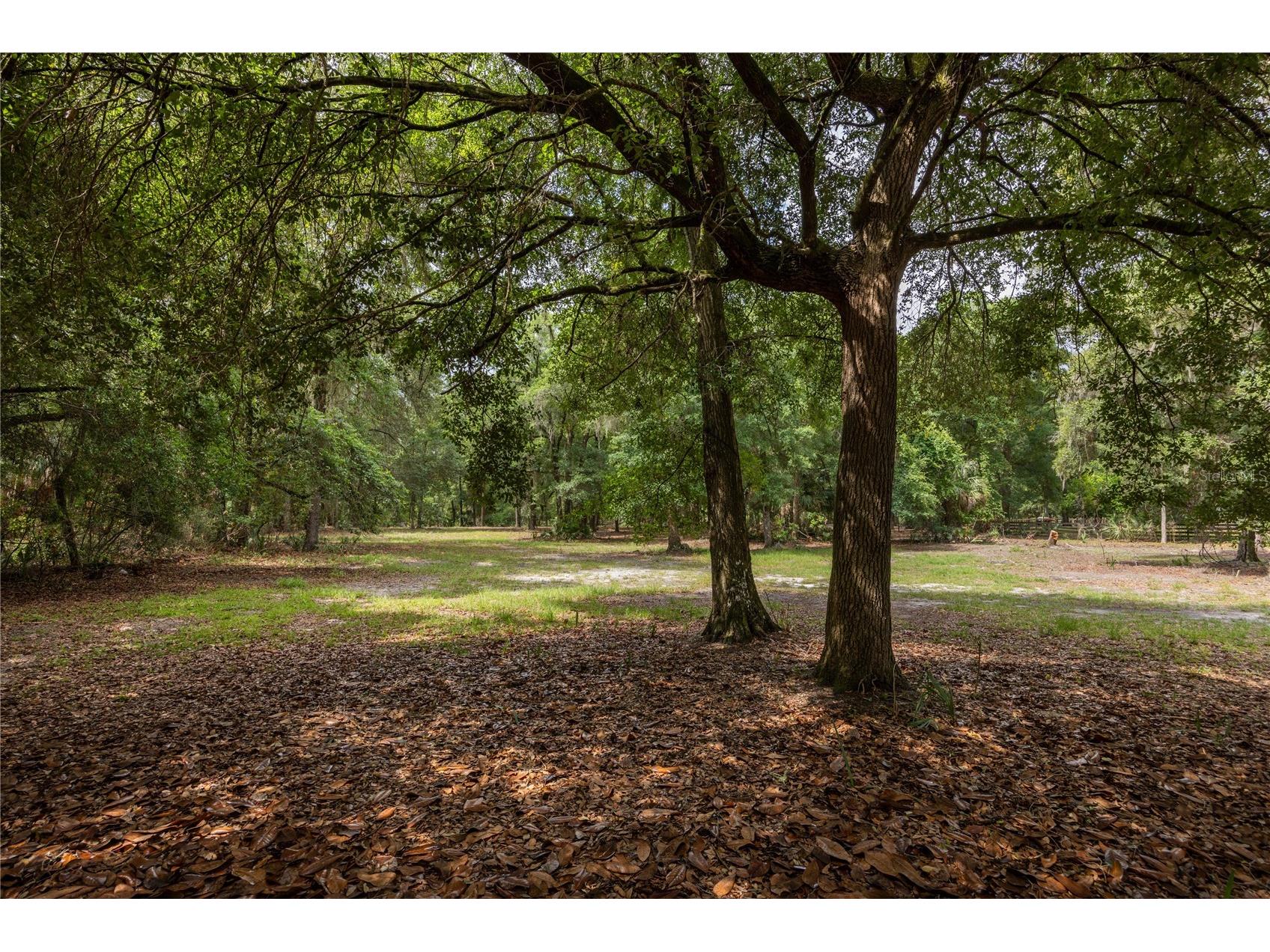 4950 SW 80th Street Chiefland FL 32626 GC540229 image41