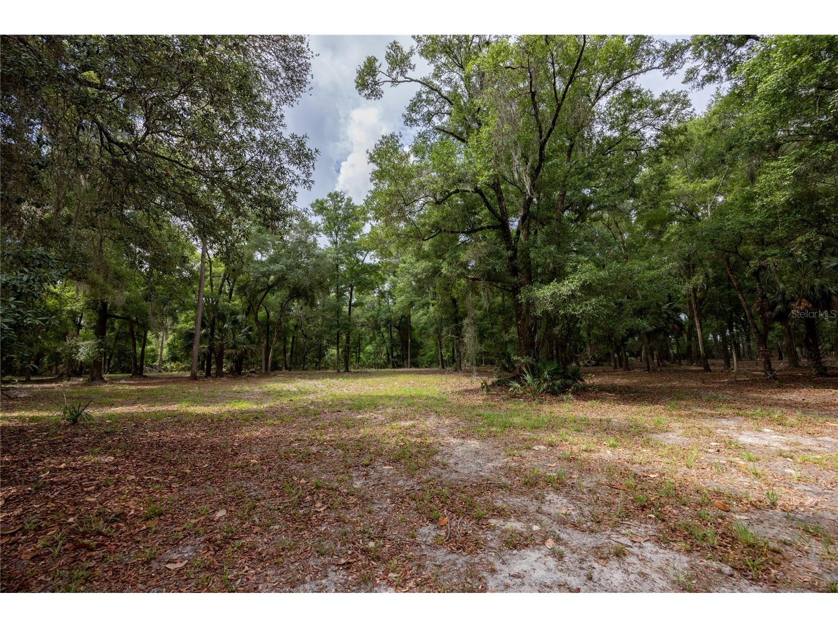 4950 SW 80th Street Chiefland FL 32626 GC540229 image43