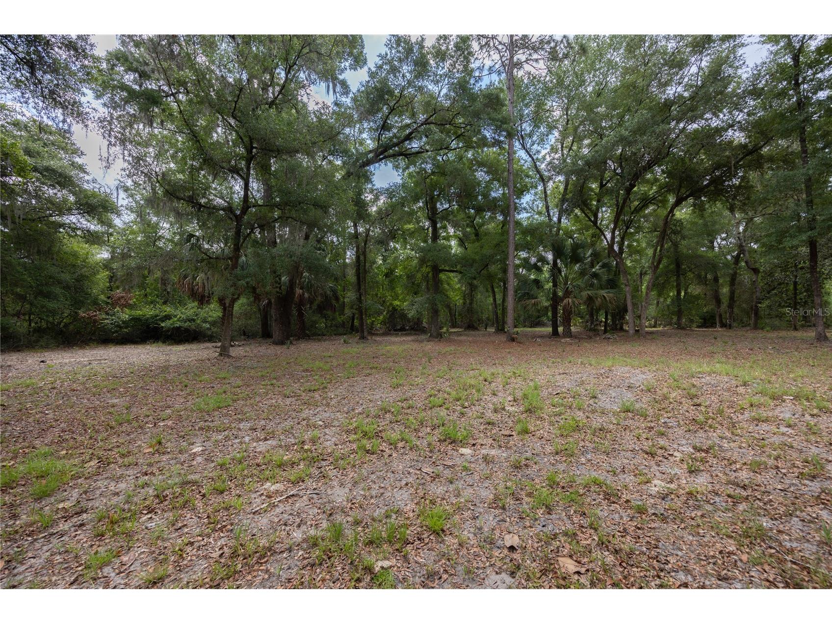 4950 SW 80th Street Chiefland FL 32626 GC540229 image45