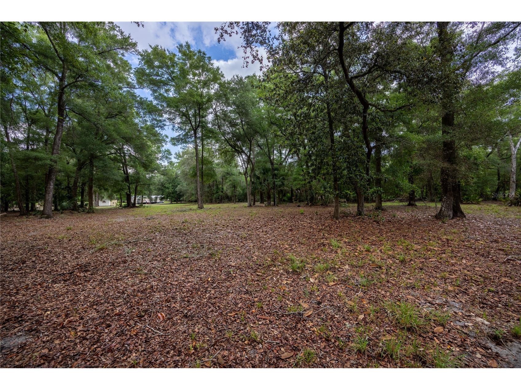 4950 SW 80th Street Chiefland FL 32626 GC540229 image46