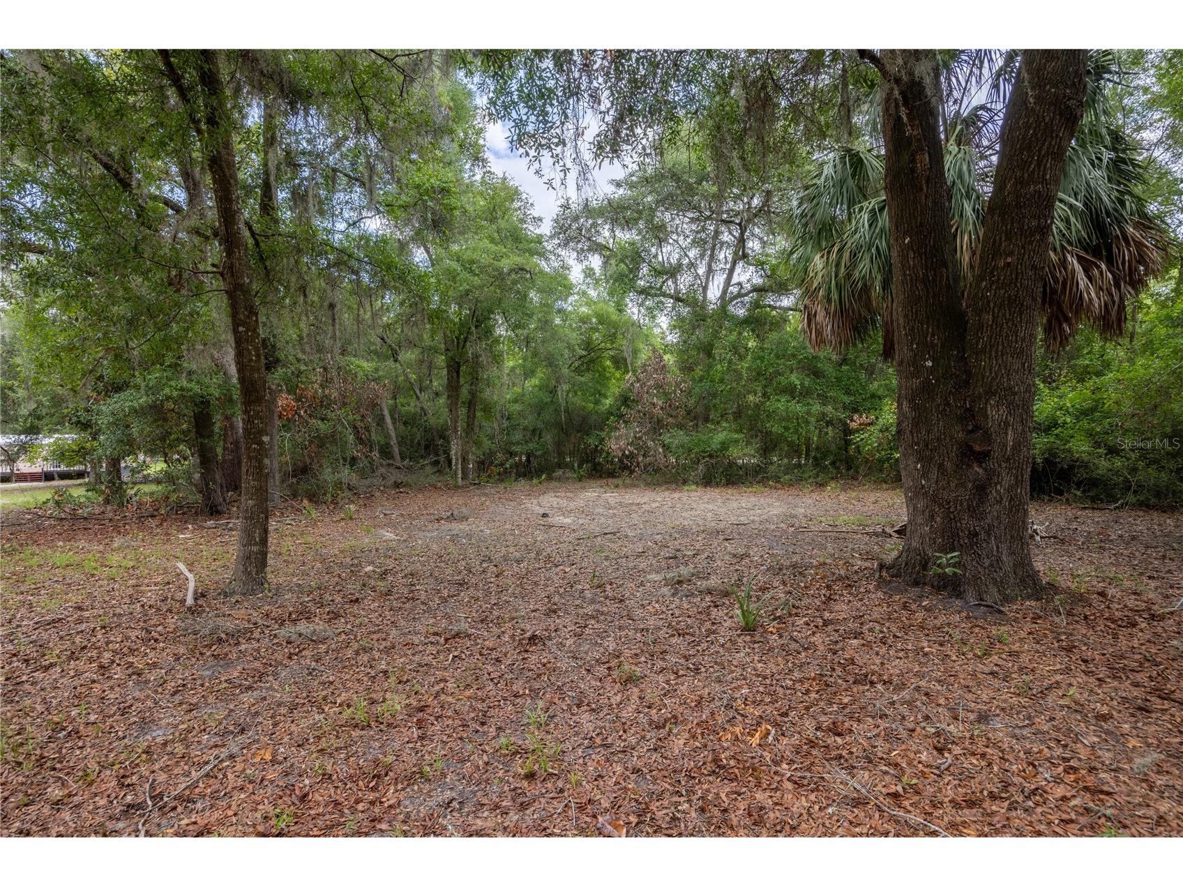 4950 SW 80th Street Chiefland FL 32626 GC540229 image47