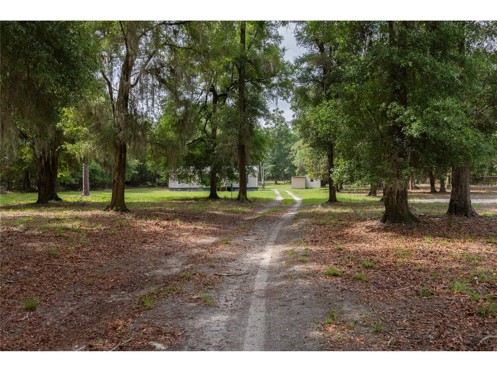 4950 SW 80th Street Chiefland FL 32626 GC540229 image50