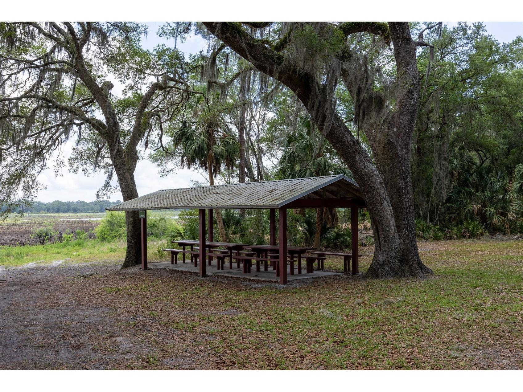 4950 SW 80th Street Chiefland FL 32626 GC540229 image65