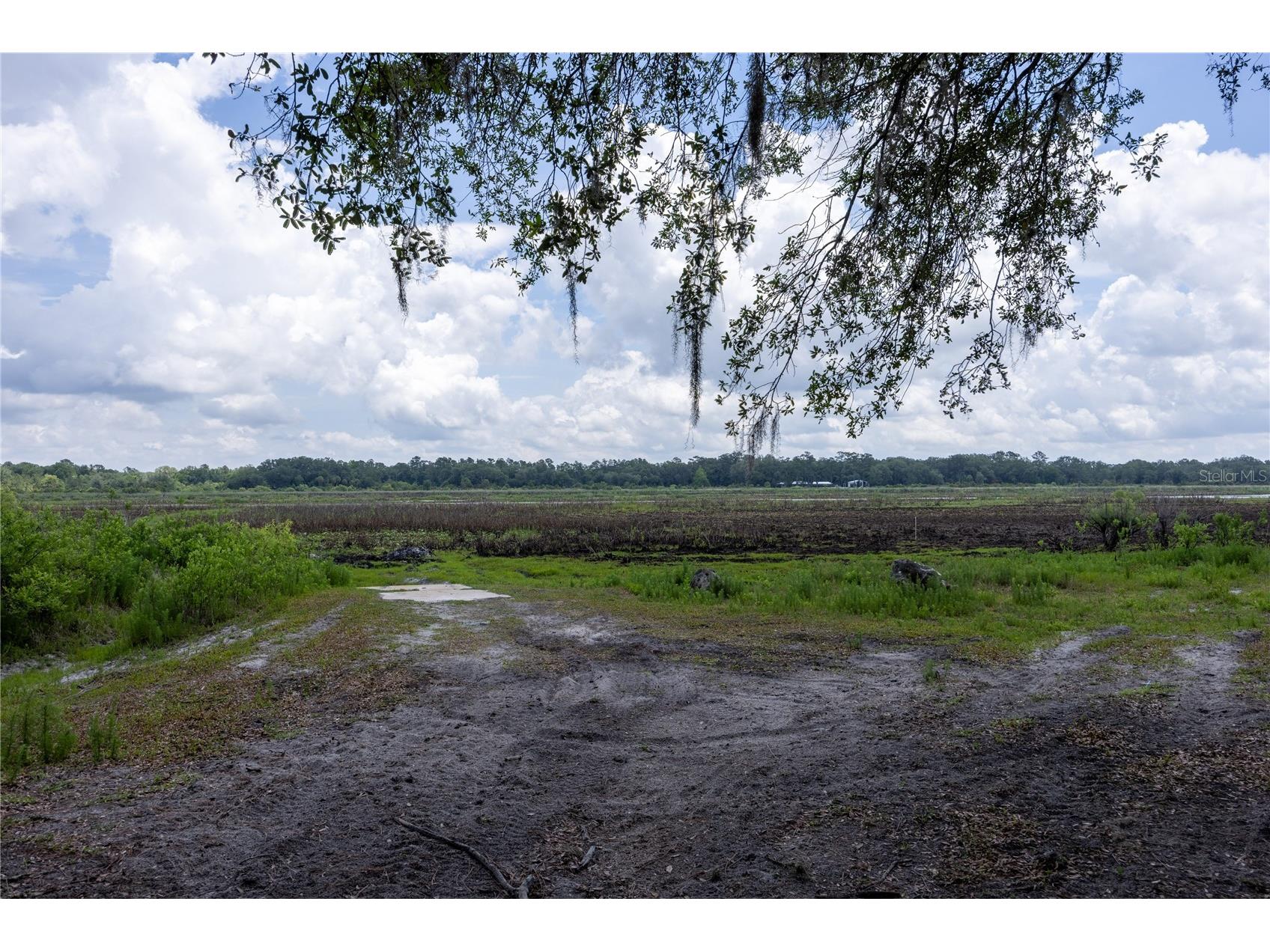 4950 SW 80th Street Chiefland FL 32626 GC540229 image67