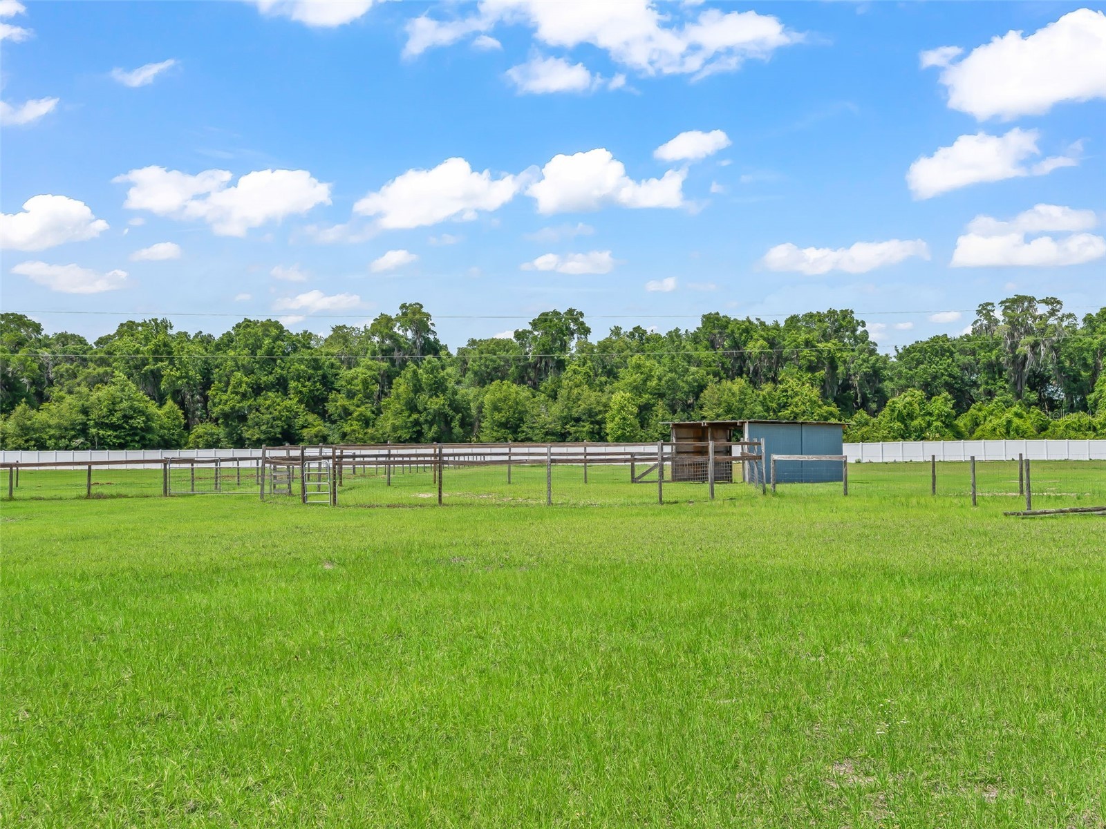 967 E Highway 316 Citra FL 32113 OM725311 image28