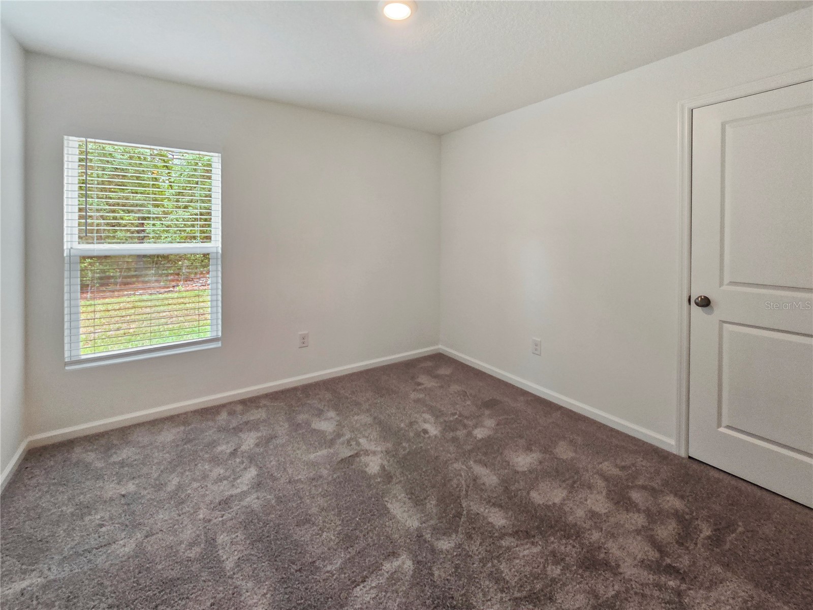  Citrus Springs FL 34433 TB8514965 image14