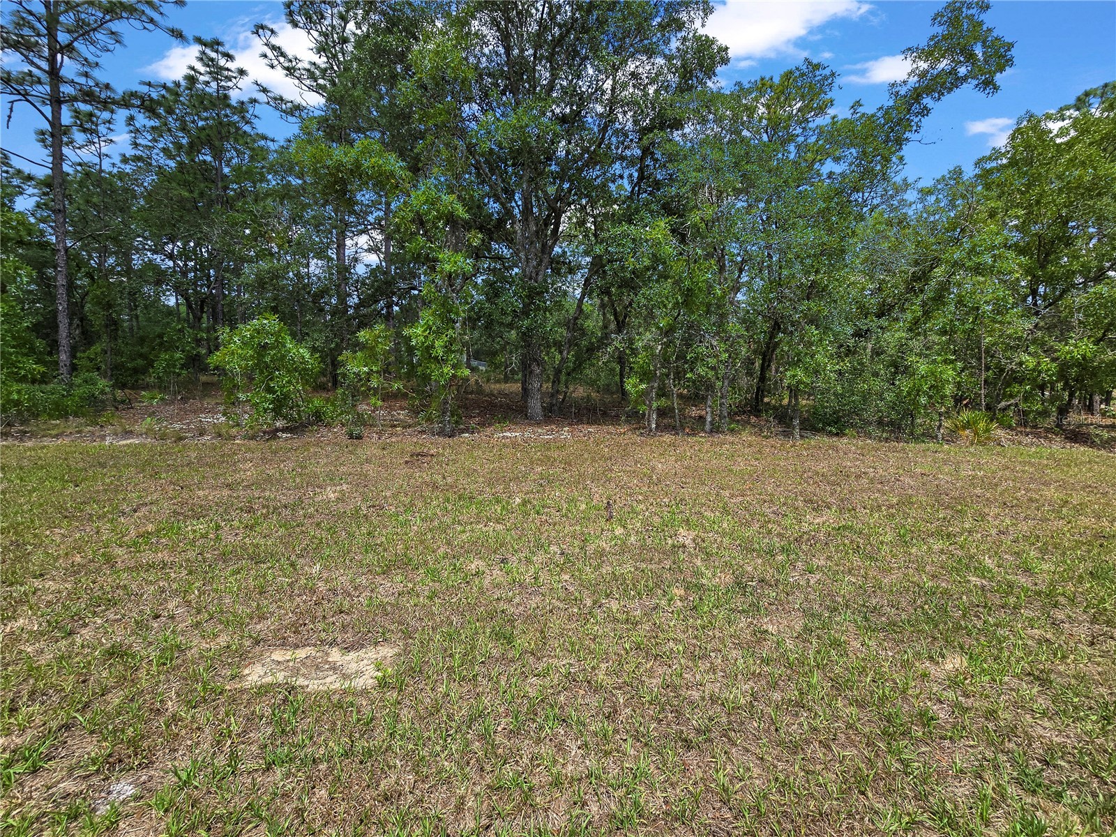  Citrus Springs FL 34433 TB8514965 image16