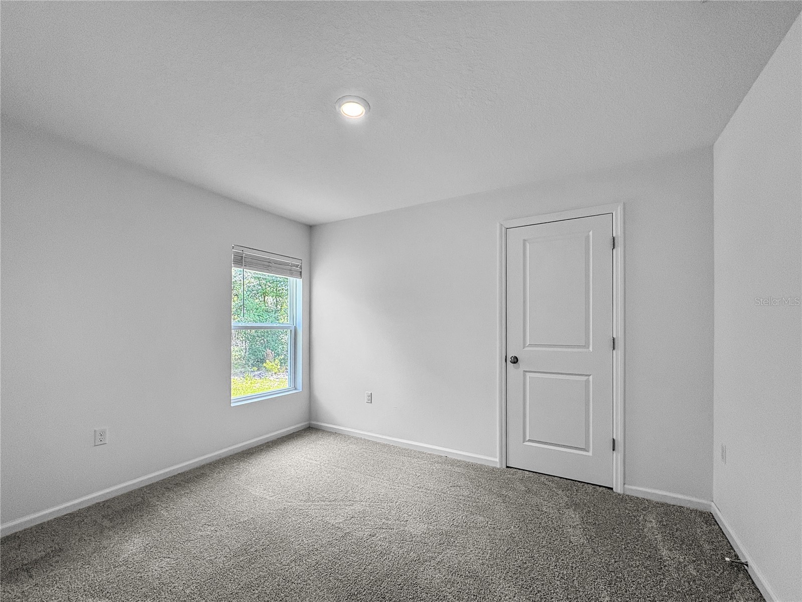  Citrus Springs FL 34433 TB8523733 image12