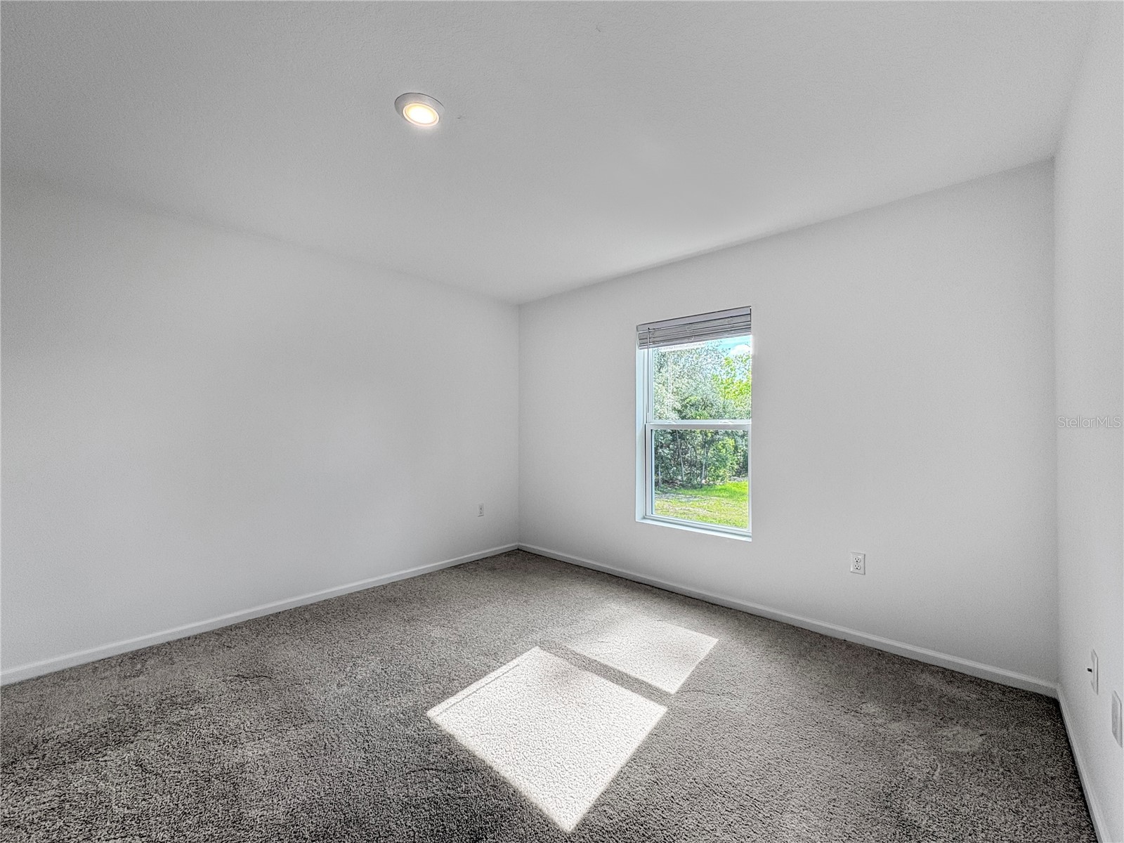  Citrus Springs FL 34433 TB8523733 image9