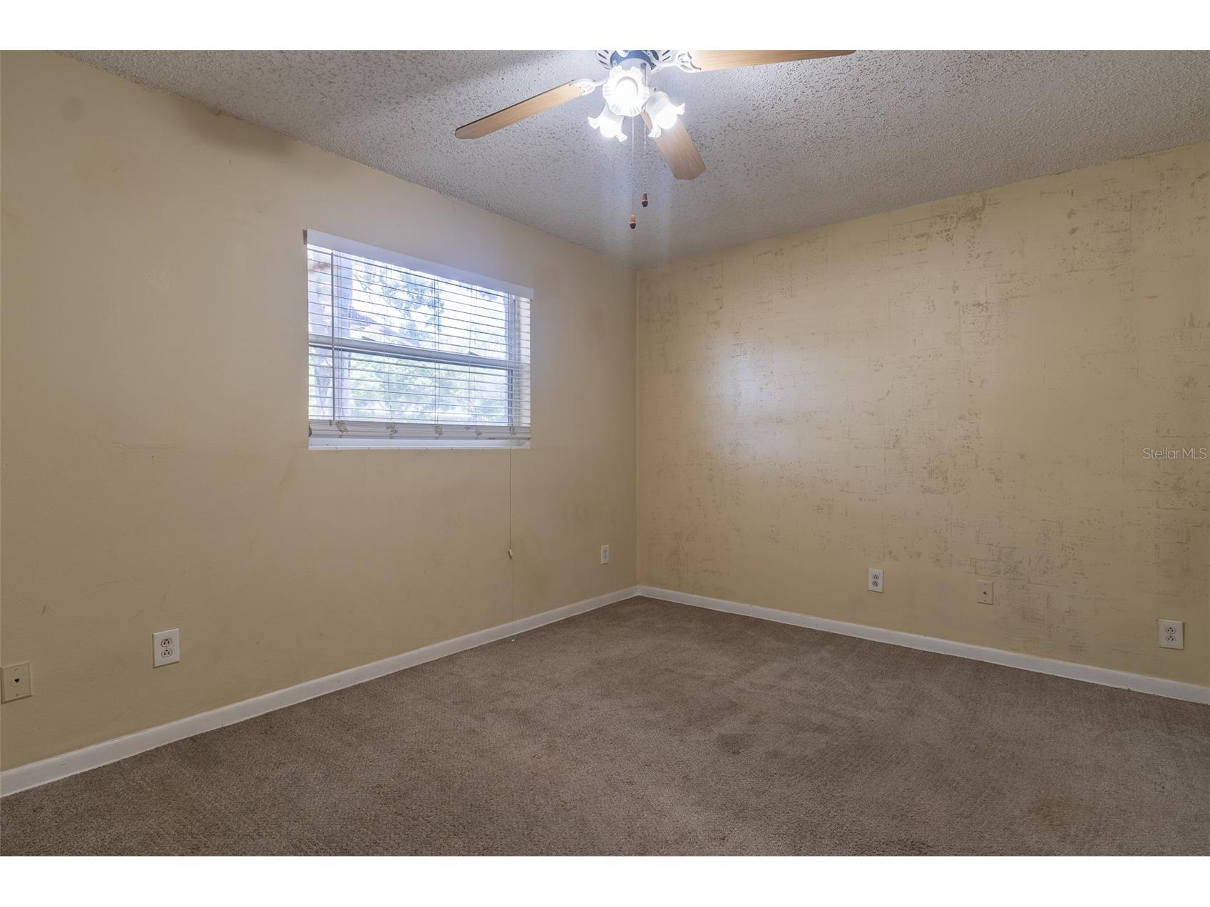 1447 Fairmont Street Clearwater FL 33755 TB8509689 image19