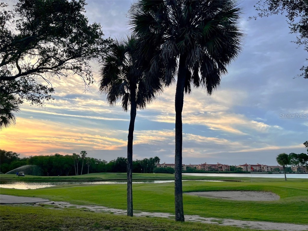  Clearwater FL 33760 TB8439872 image63