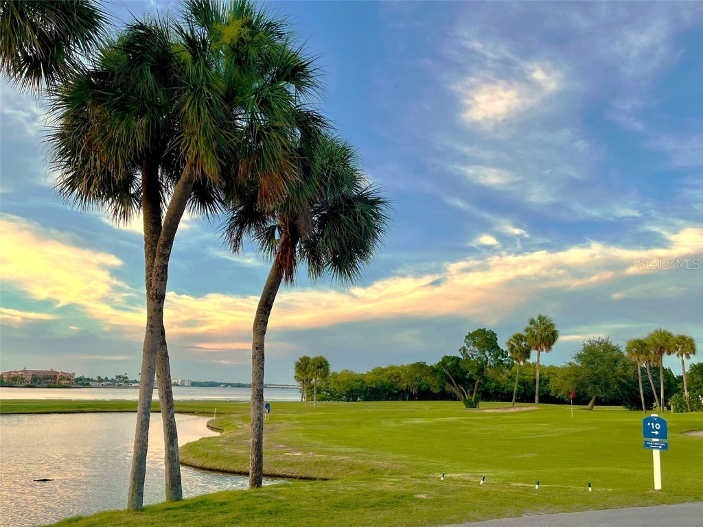  Clearwater FL 33760 TB8439872 image67