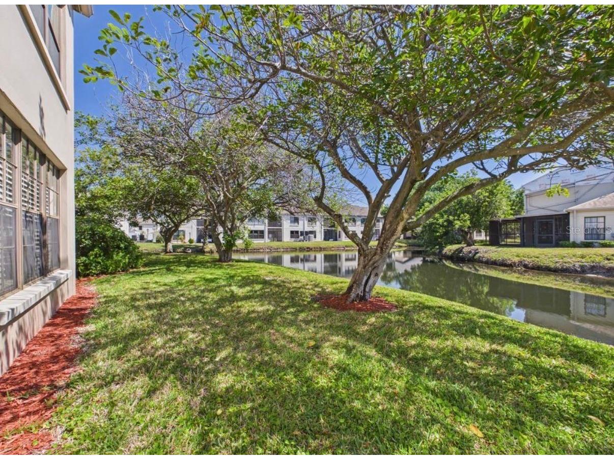  Clearwater FL 33762 TB8507247 image25