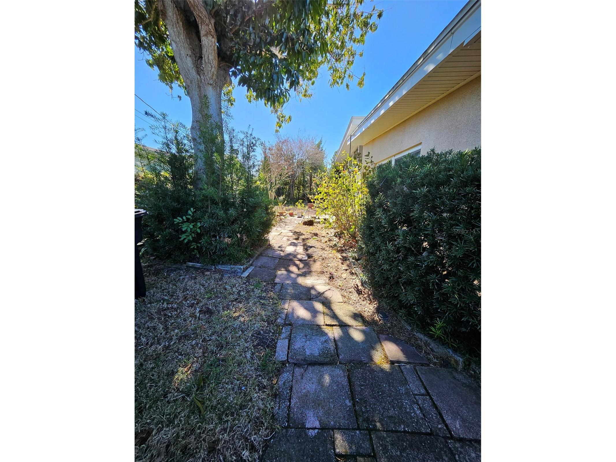  Clearwater FL 33763 TB8474158 image22