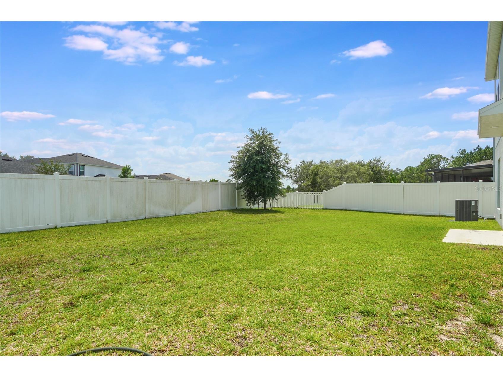 3936 Fescue Street Clermont FL 34714 O6405477 image28