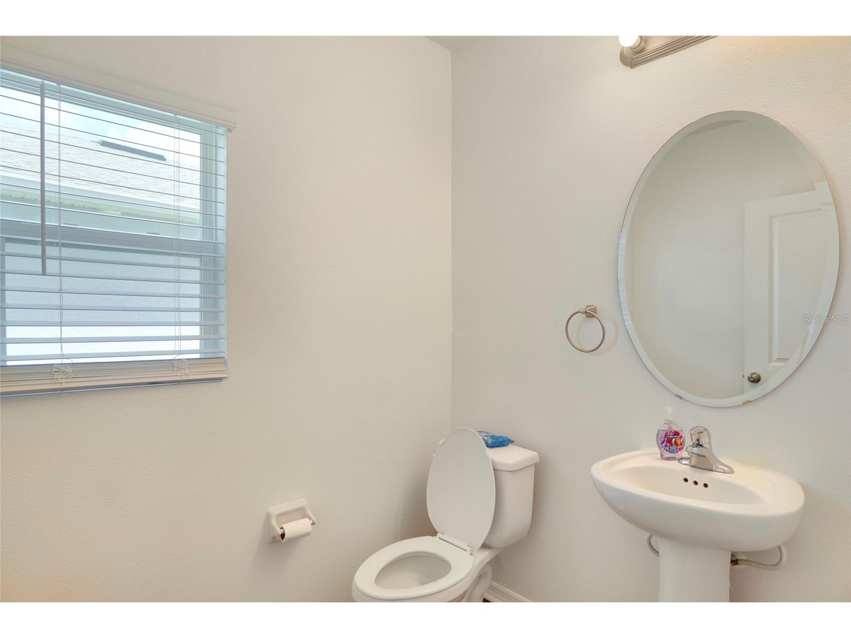 3936 Fescue Street Clermont FL 34714 O6405477 image3