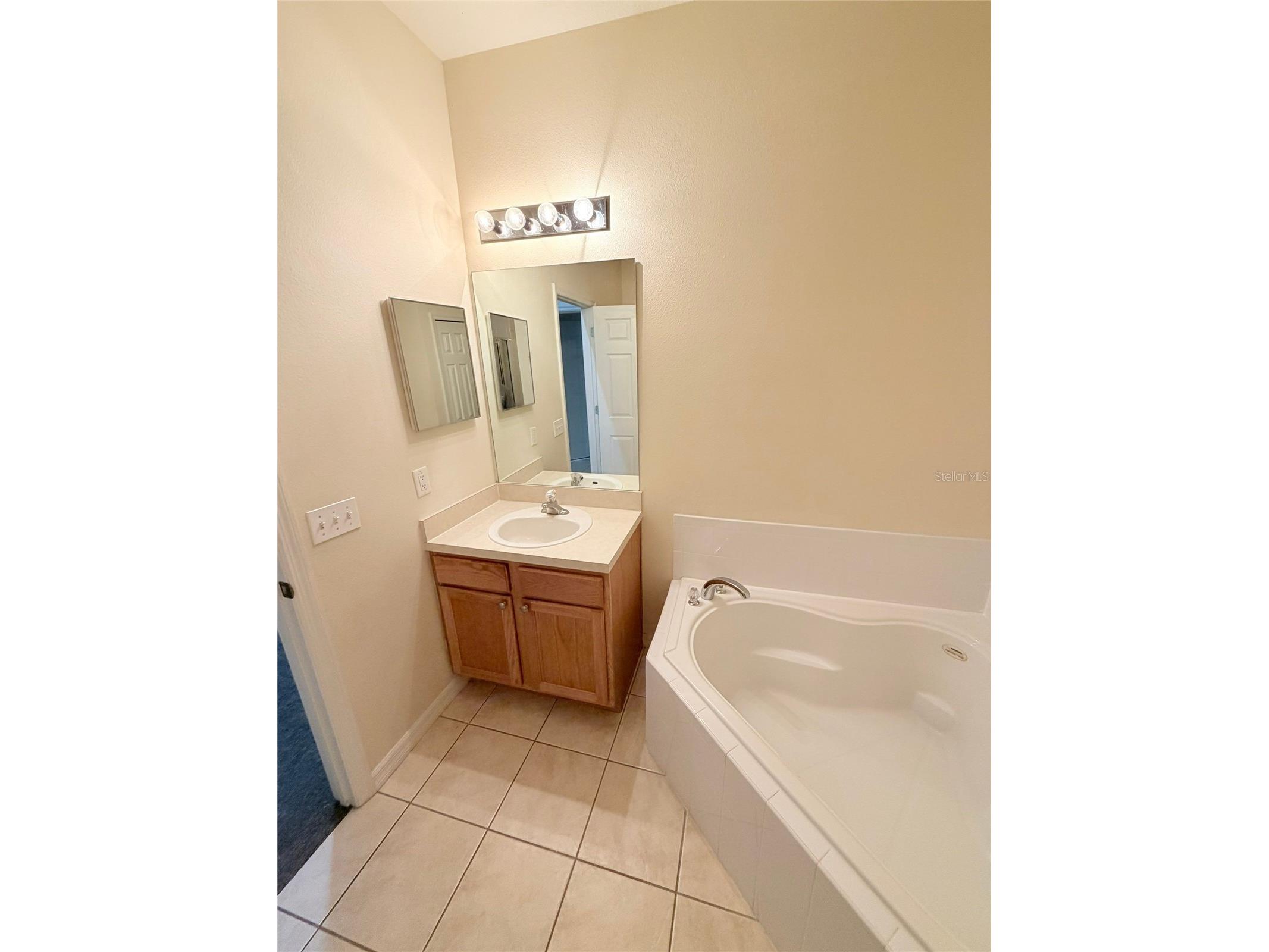 16725 Rolling Green Drive Clermont FL 34714 TB8484506 image17