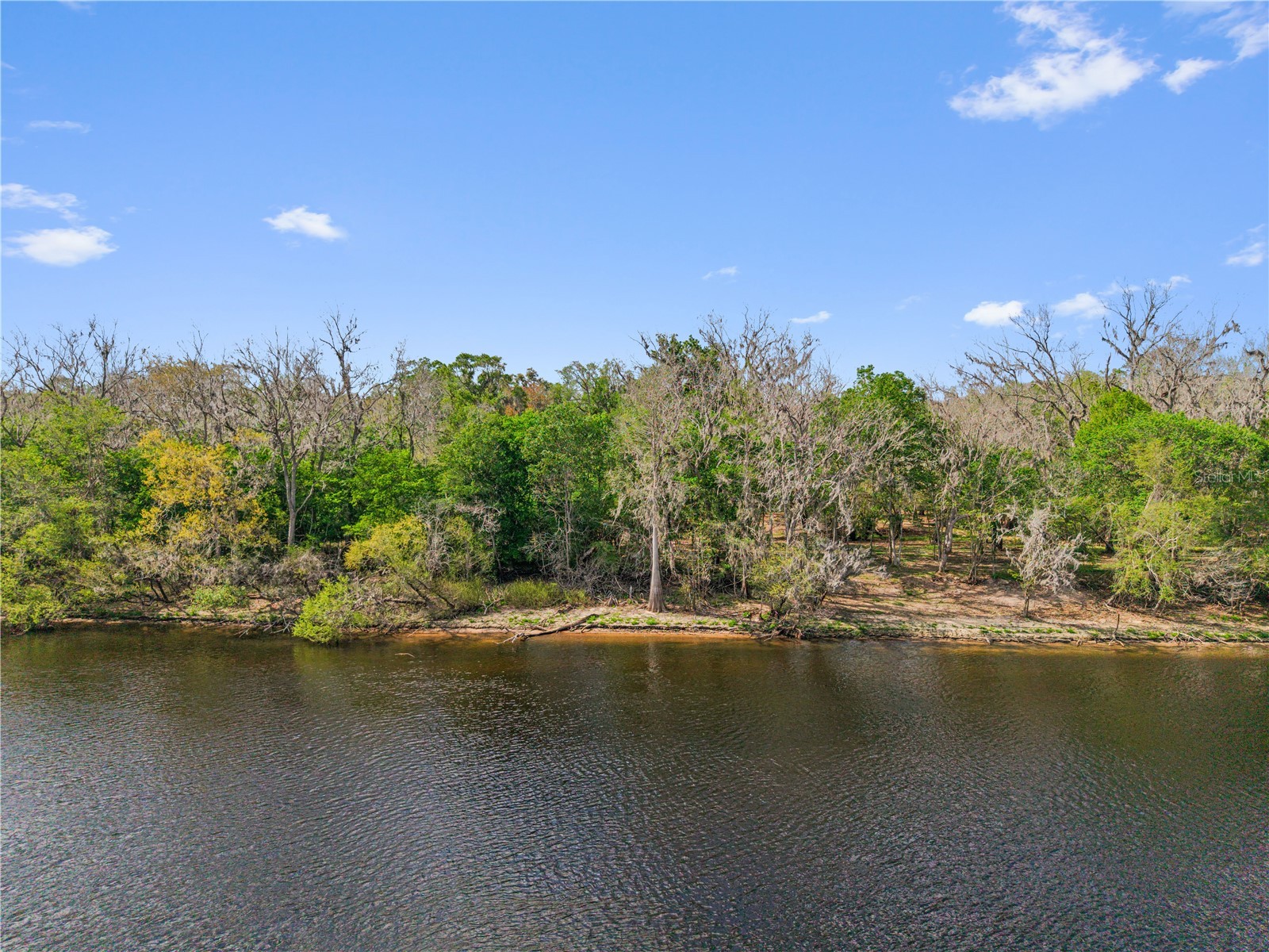  Old Town FL 32680 - SUWANNEE RIVER GC538897 image11