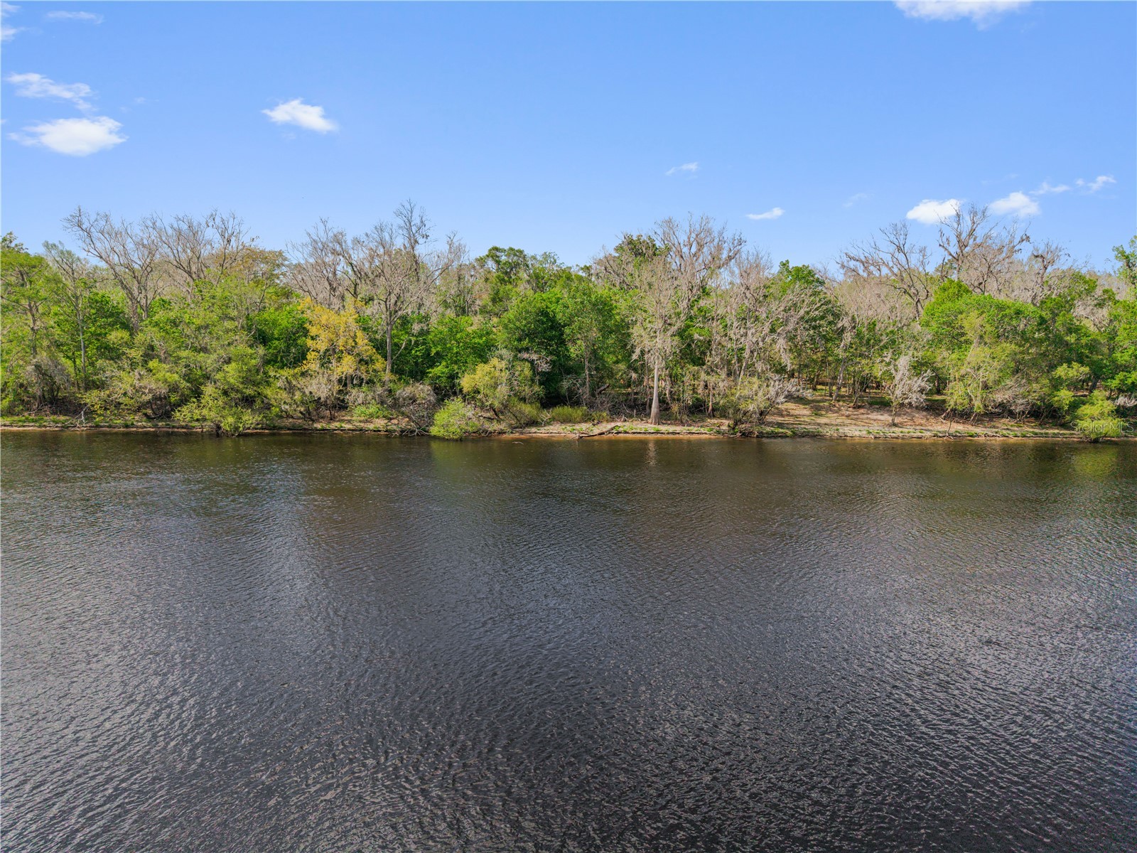  Old Town FL 32680 - SUWANNEE RIVER GC538897 image14
