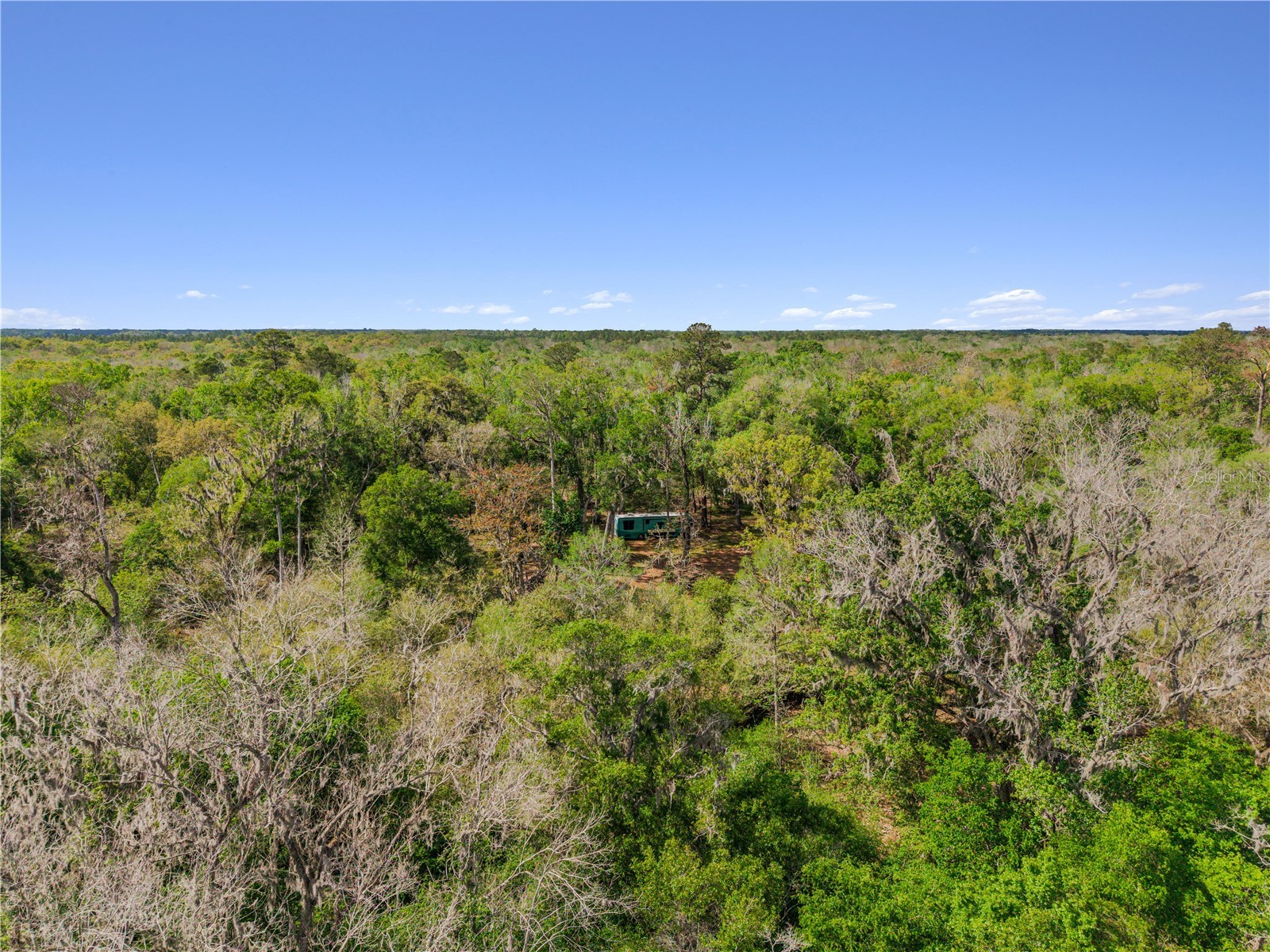  Old Town FL 32680 - SUWANNEE RIVER GC538897 image16