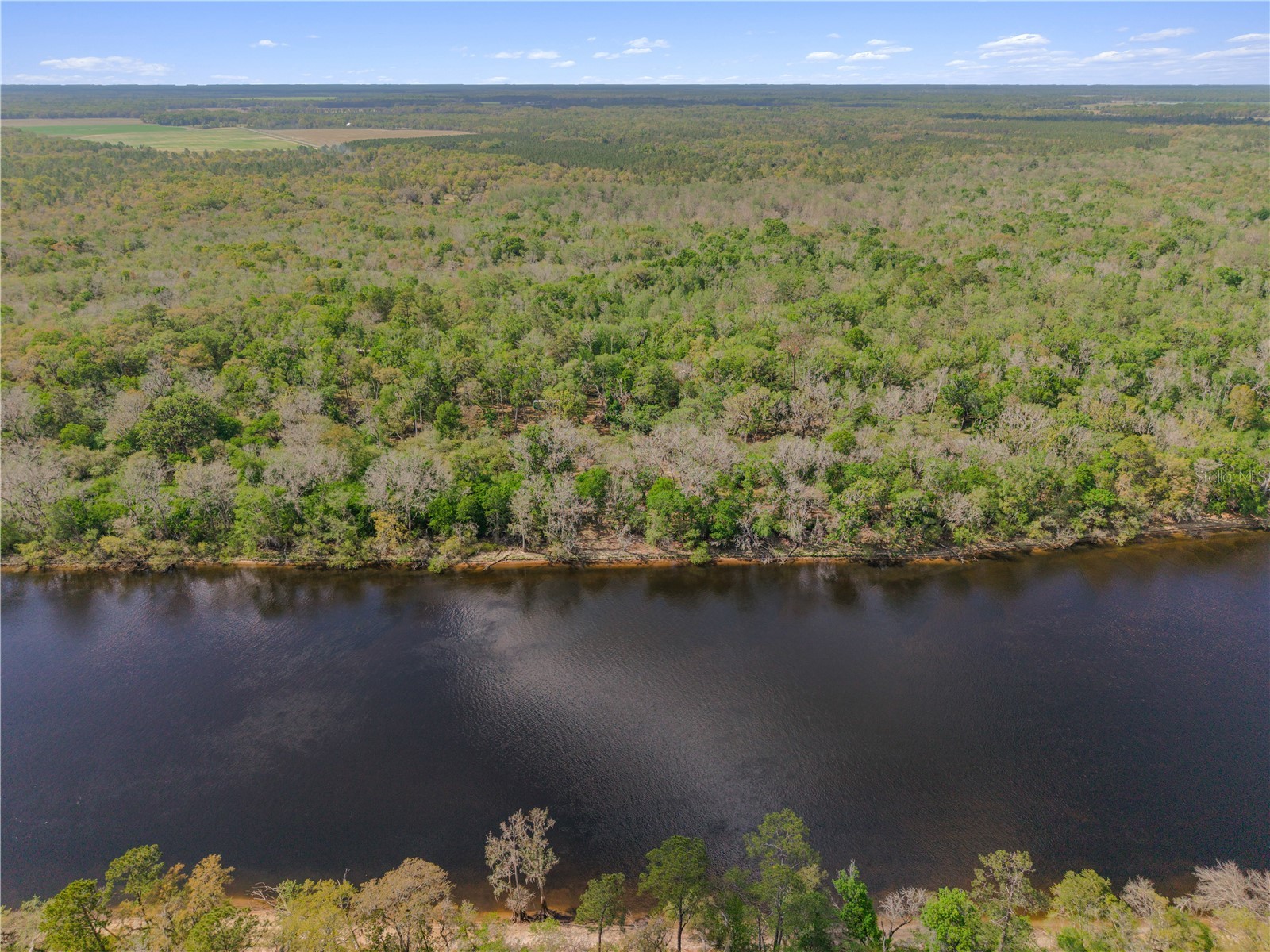  Old Town FL 32680 - SUWANNEE RIVER GC538897 image3