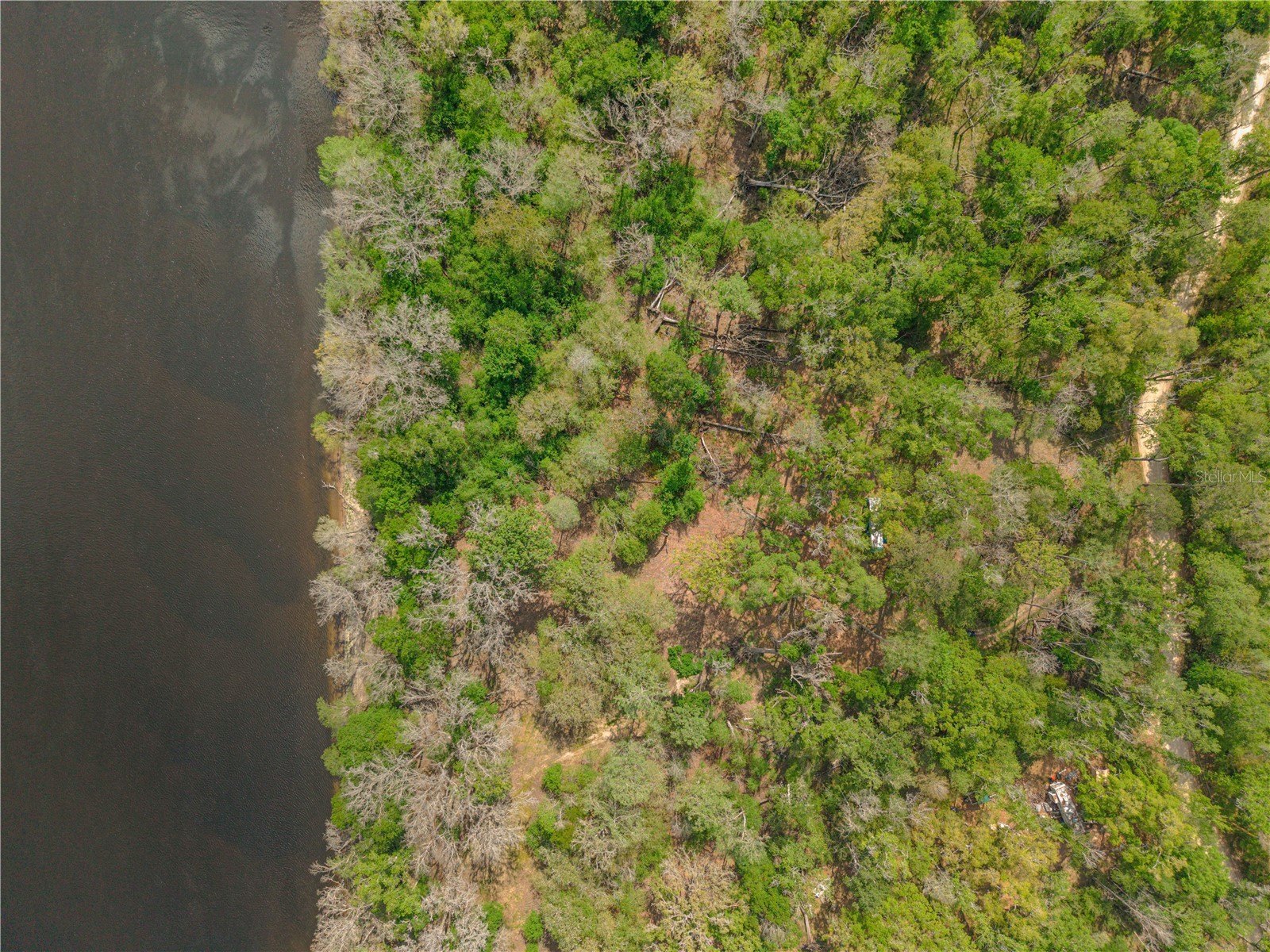  Old Town FL 32680 - SUWANNEE RIVER GC538897 image8