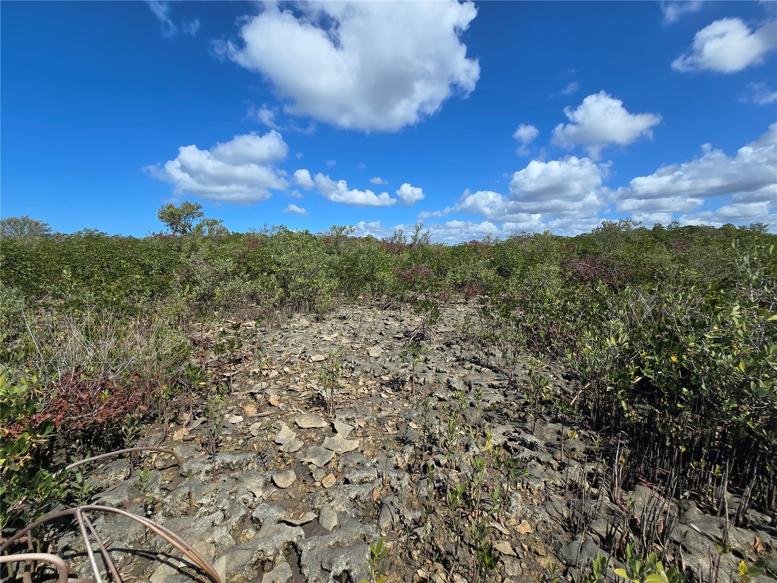  Crystal River FL 34429 OM721022 image10