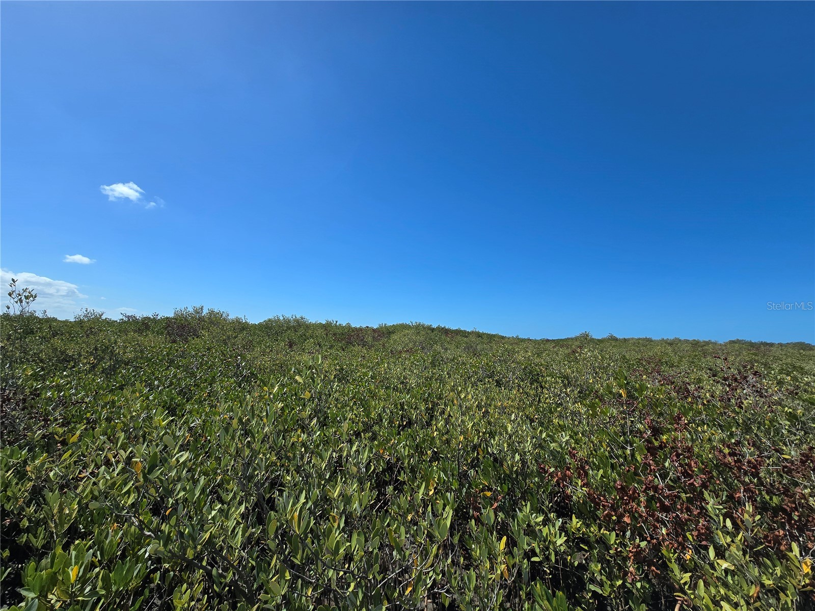  Crystal River FL 34429 OM721022 image13