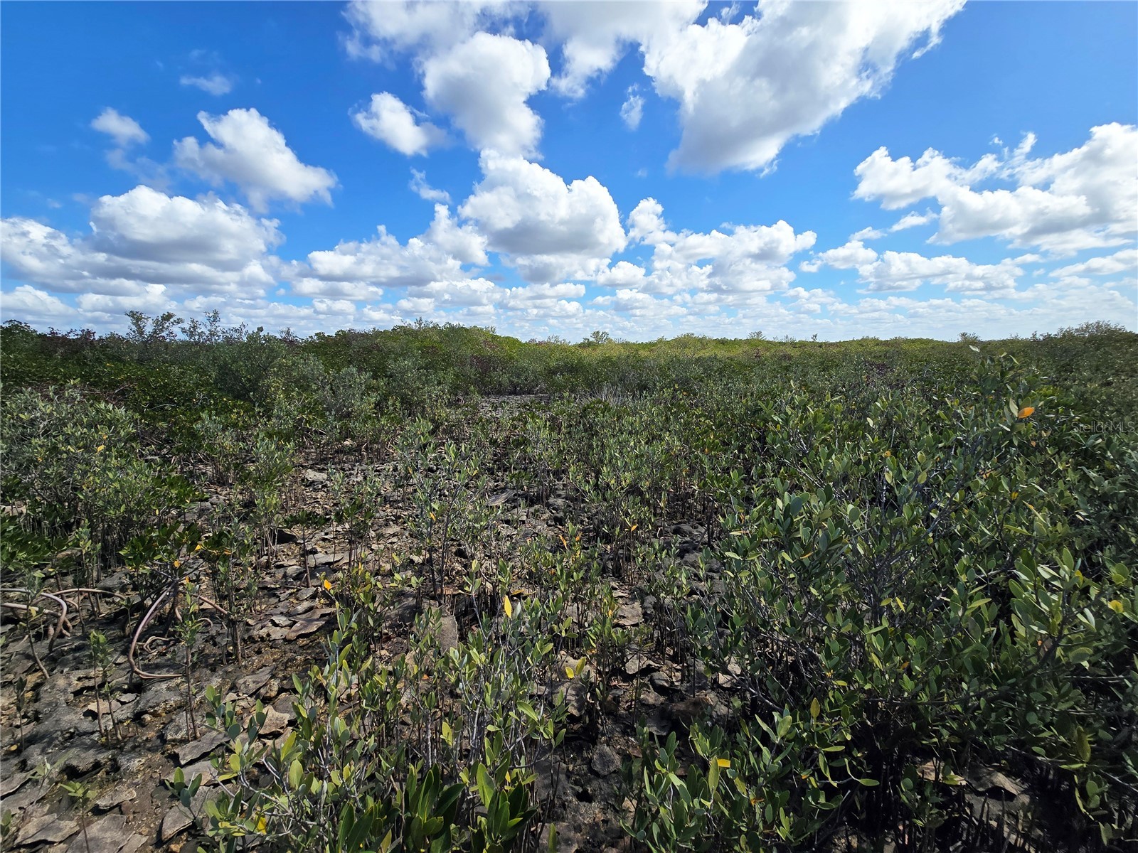  Crystal River FL 34429 OM721022 image17