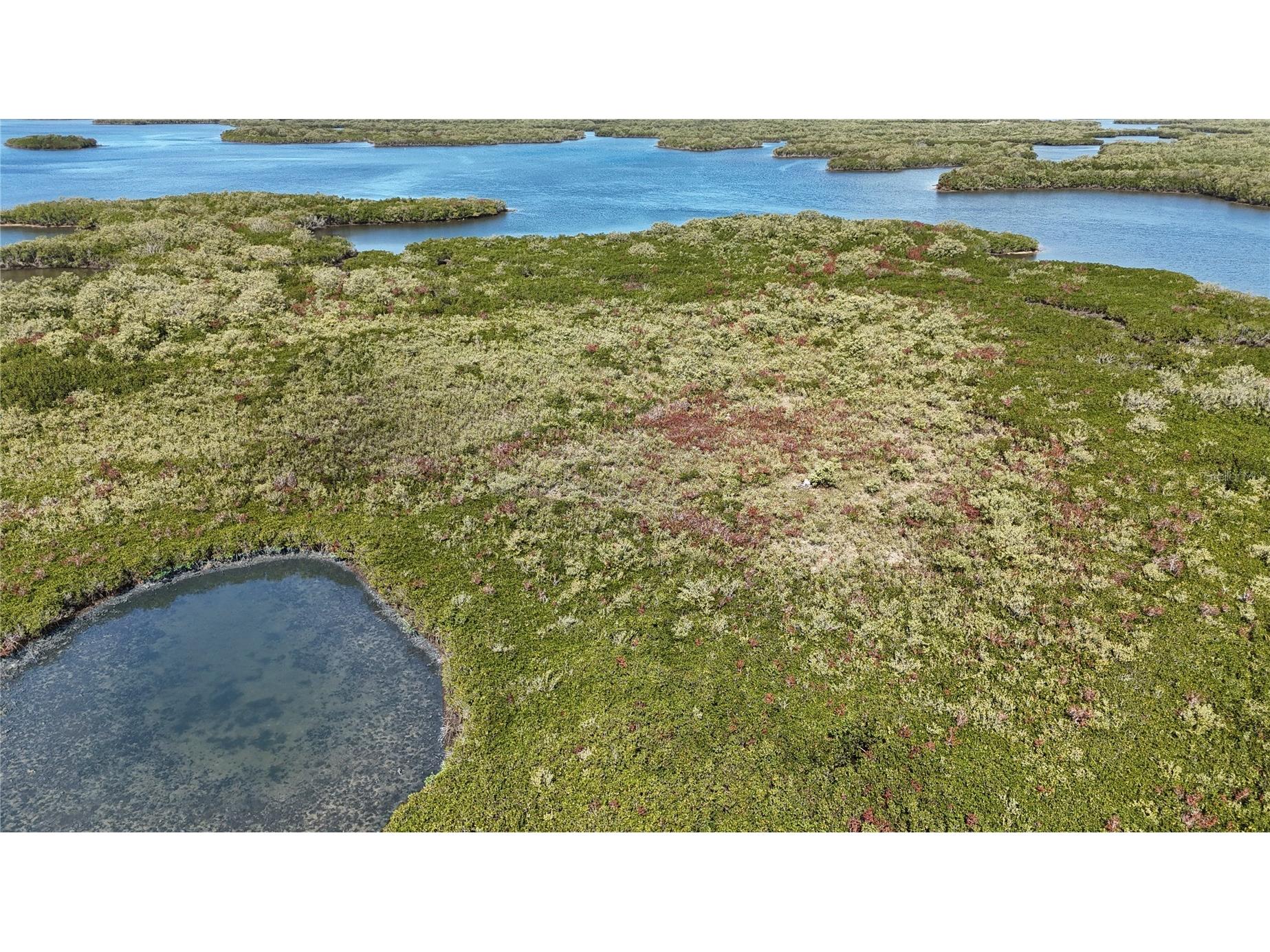  Crystal River FL 34429 OM721022 image2