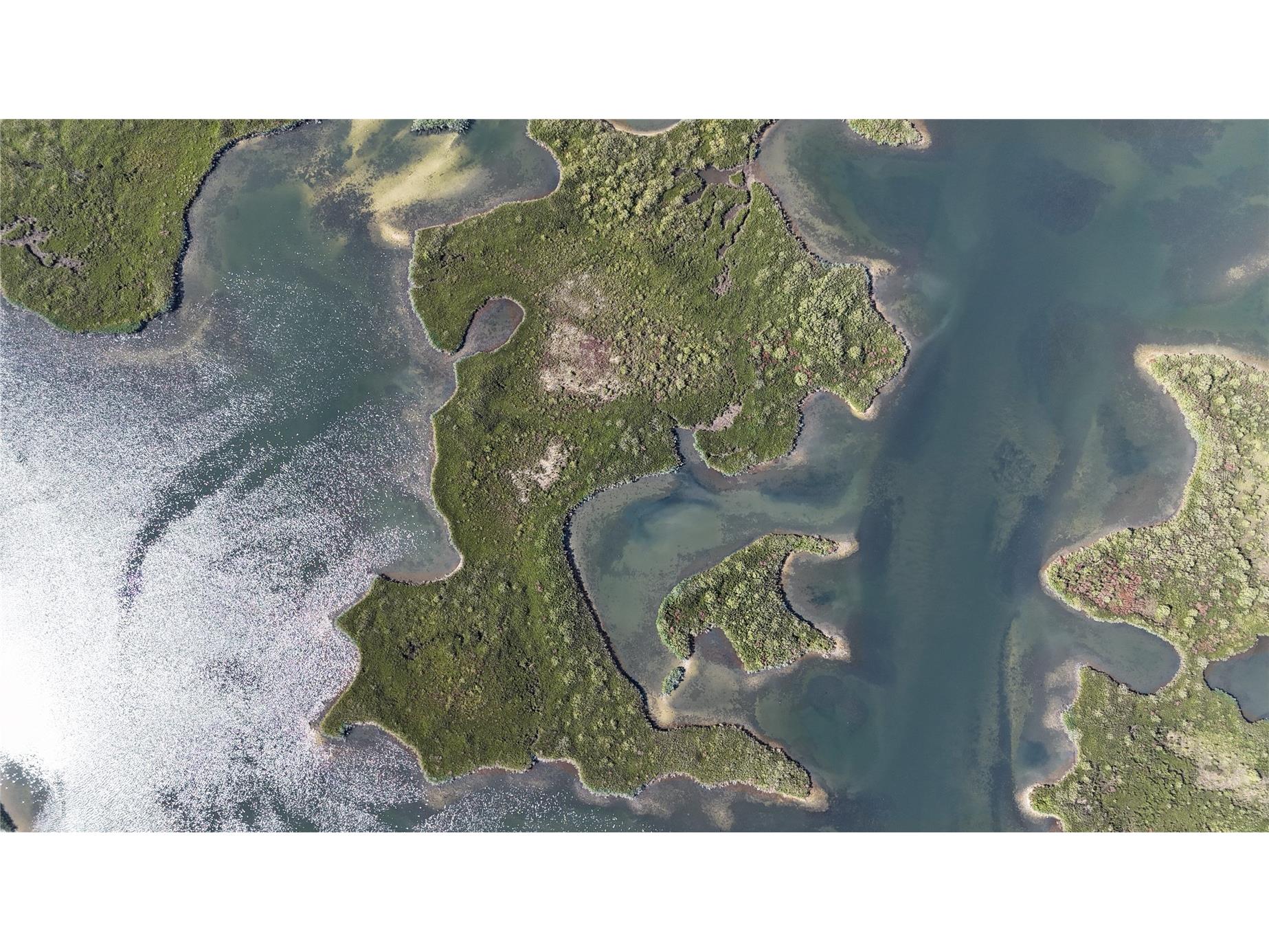  Crystal River FL 34429 OM721022 image22