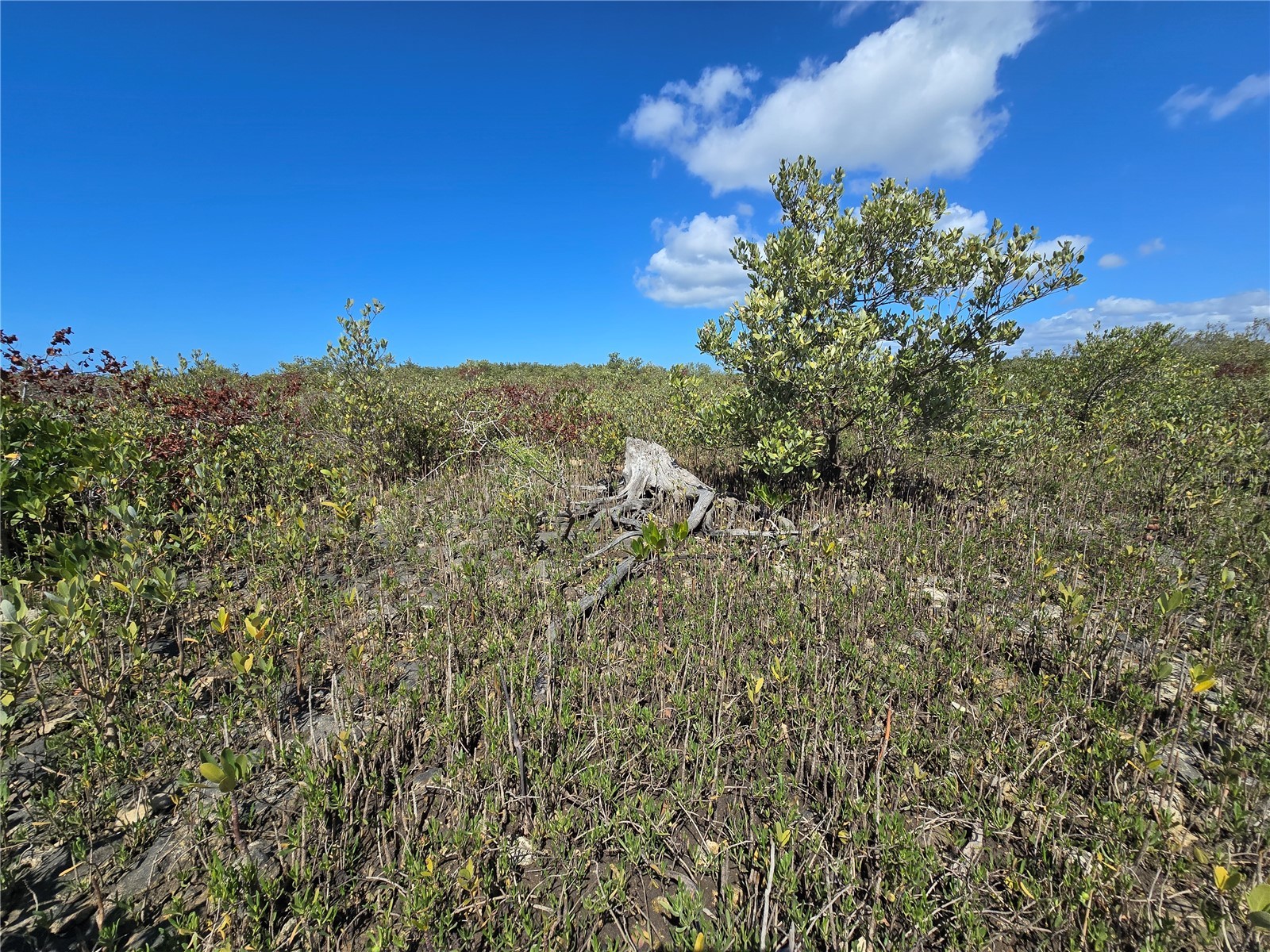  Crystal River FL 34429 OM721022 image23