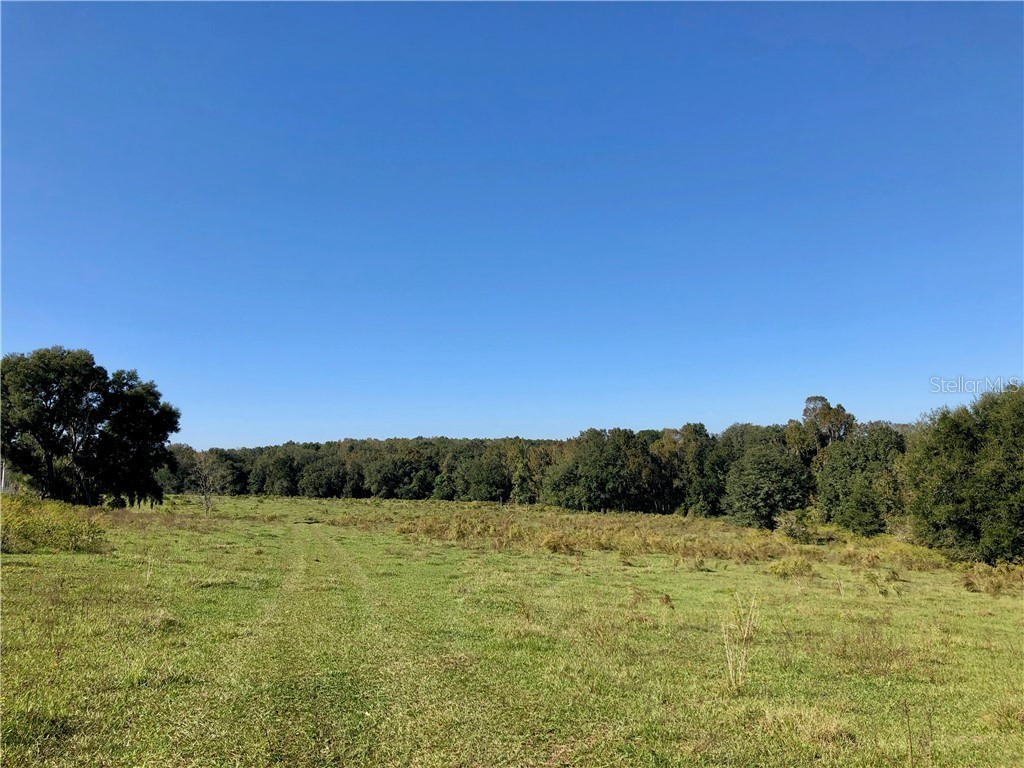  Dade City FL 33523 - Mud Lake U8066464 image1