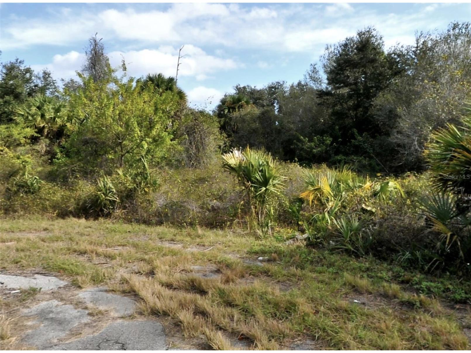Dade Court North Port FL 34288 C7528052 image1