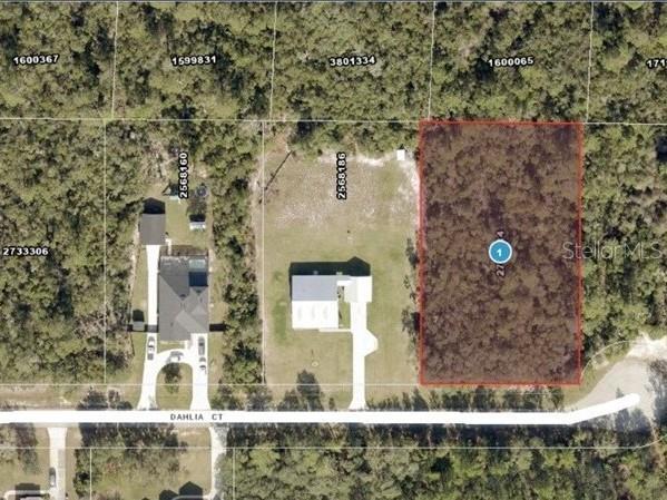 Dahlia Court Eustis FL 32736 V4947701 image1