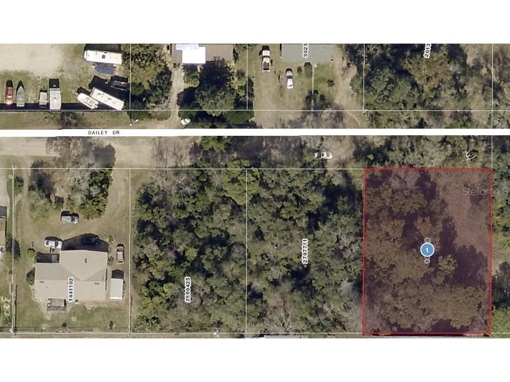 Dailey Drive Tavares FL 32778 V4928013 image1