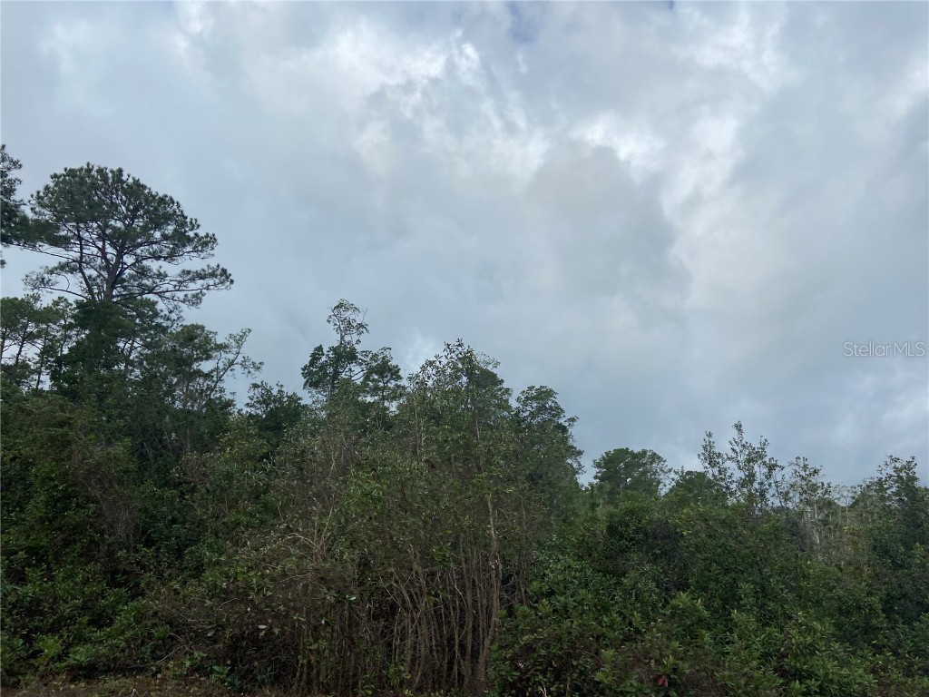 Daisy Paper Street Deltona FL 32738 V4928530 image1