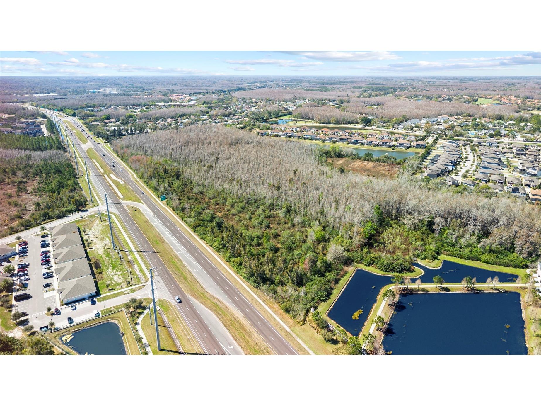 Dale Mabry Hwy Lutz FL 33548 TB8480881 image11