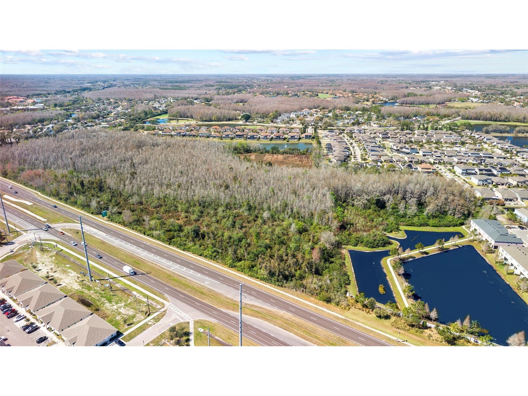 Dale Mabry Hwy Lutz FL 33548 TB8480881 image12