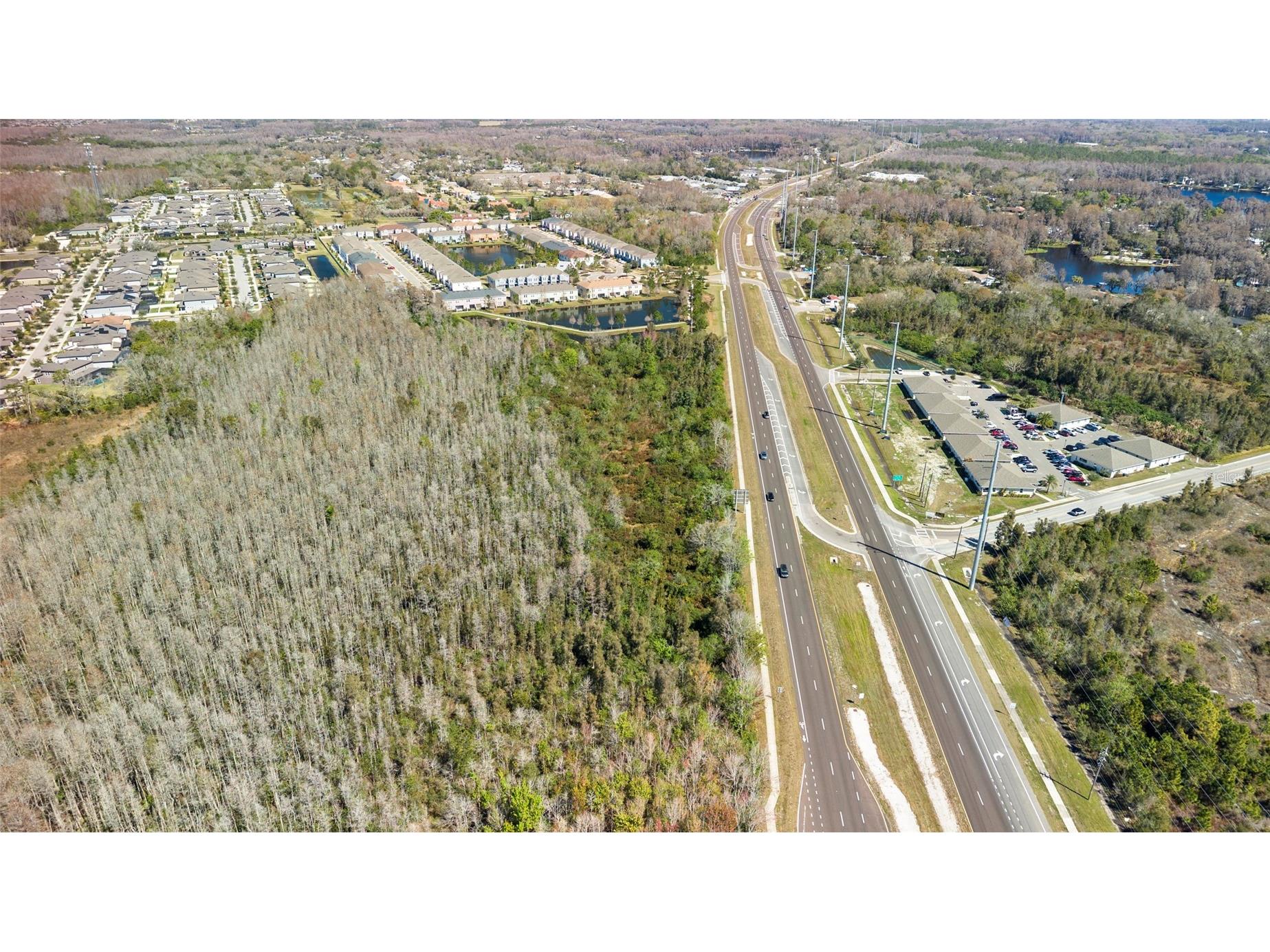 Dale Mabry Hwy Lutz FL 33548 TB8480881 image4