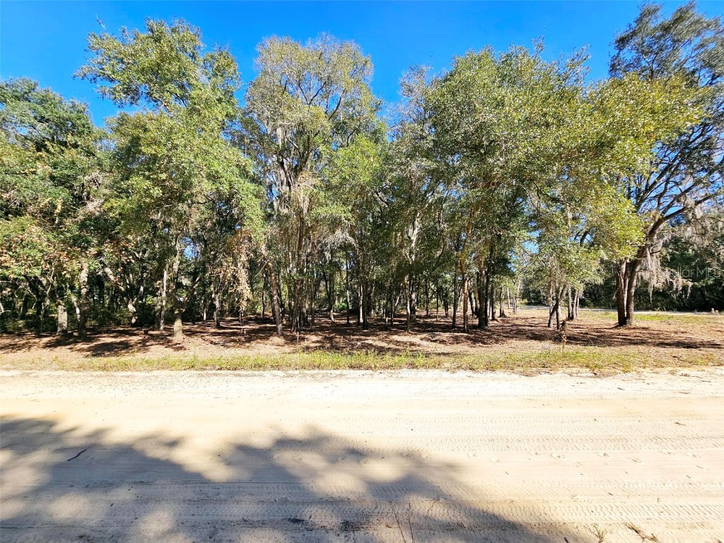 Dale Street Interlachen FL 32148 GC517545 image1