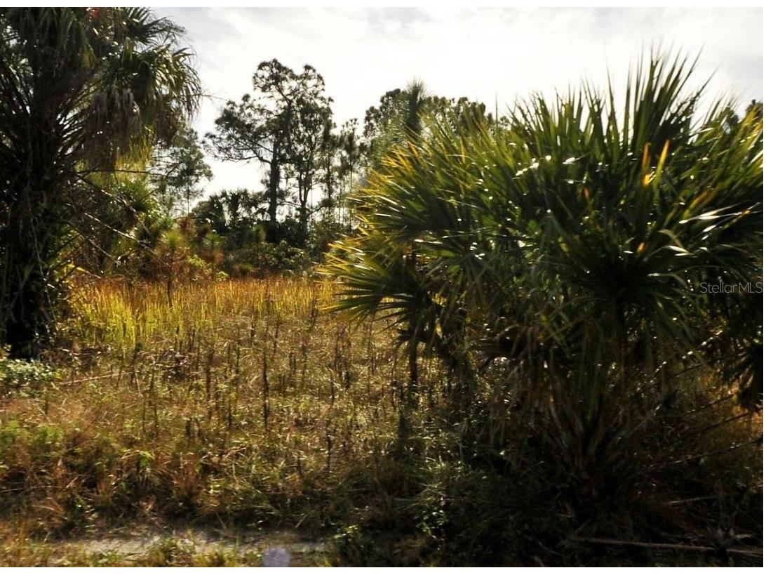 Dalewood Circle North Port FL 34288 A4682368 image1