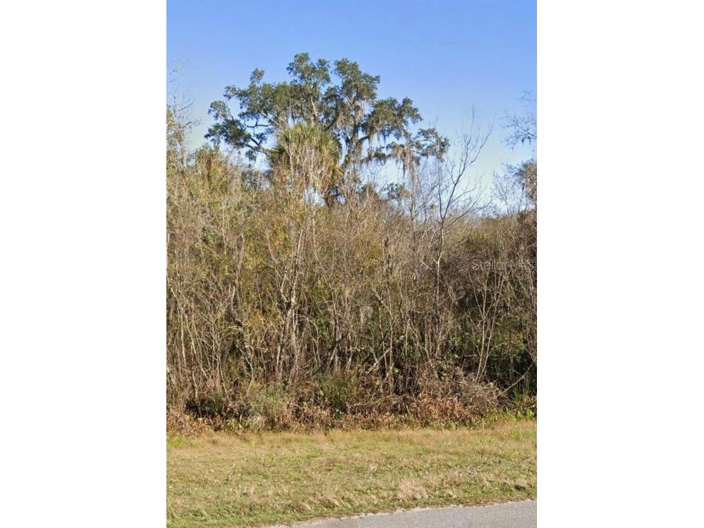 Dallas Boulevard Orlando FL 32833 O6225222 image1