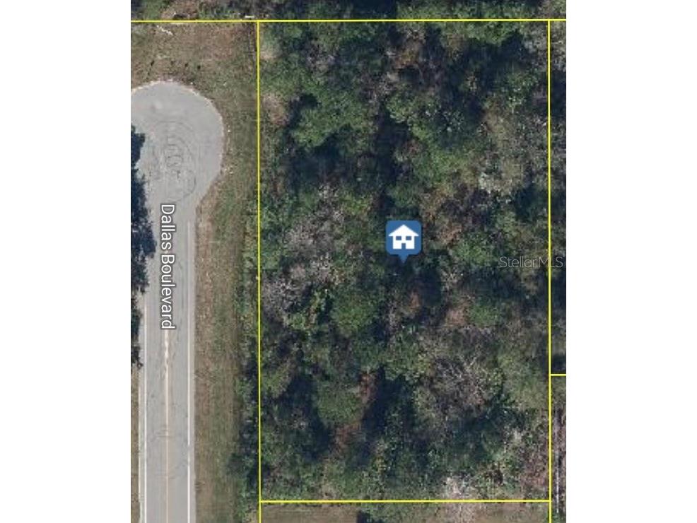 Dallas Boulevard Orlando FL 32833 O6313979 image1