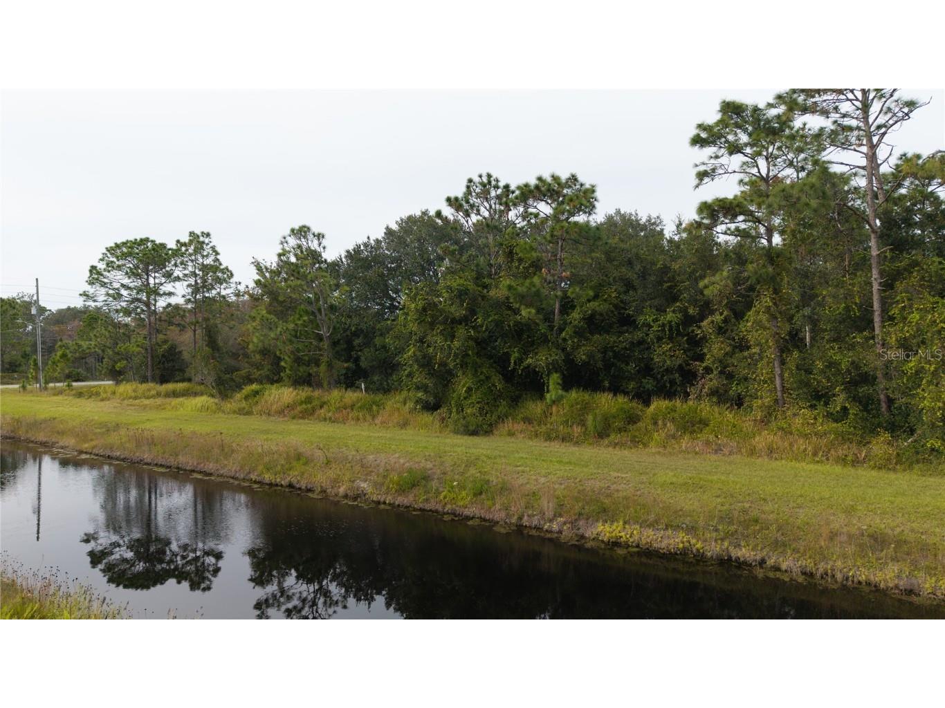 Dallas Boulevard Orlando FL 32833 O6358203 image10