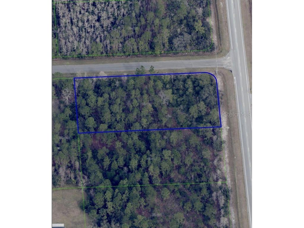 Dallas Boulevard Orlando FL 32833 S5140520 image1