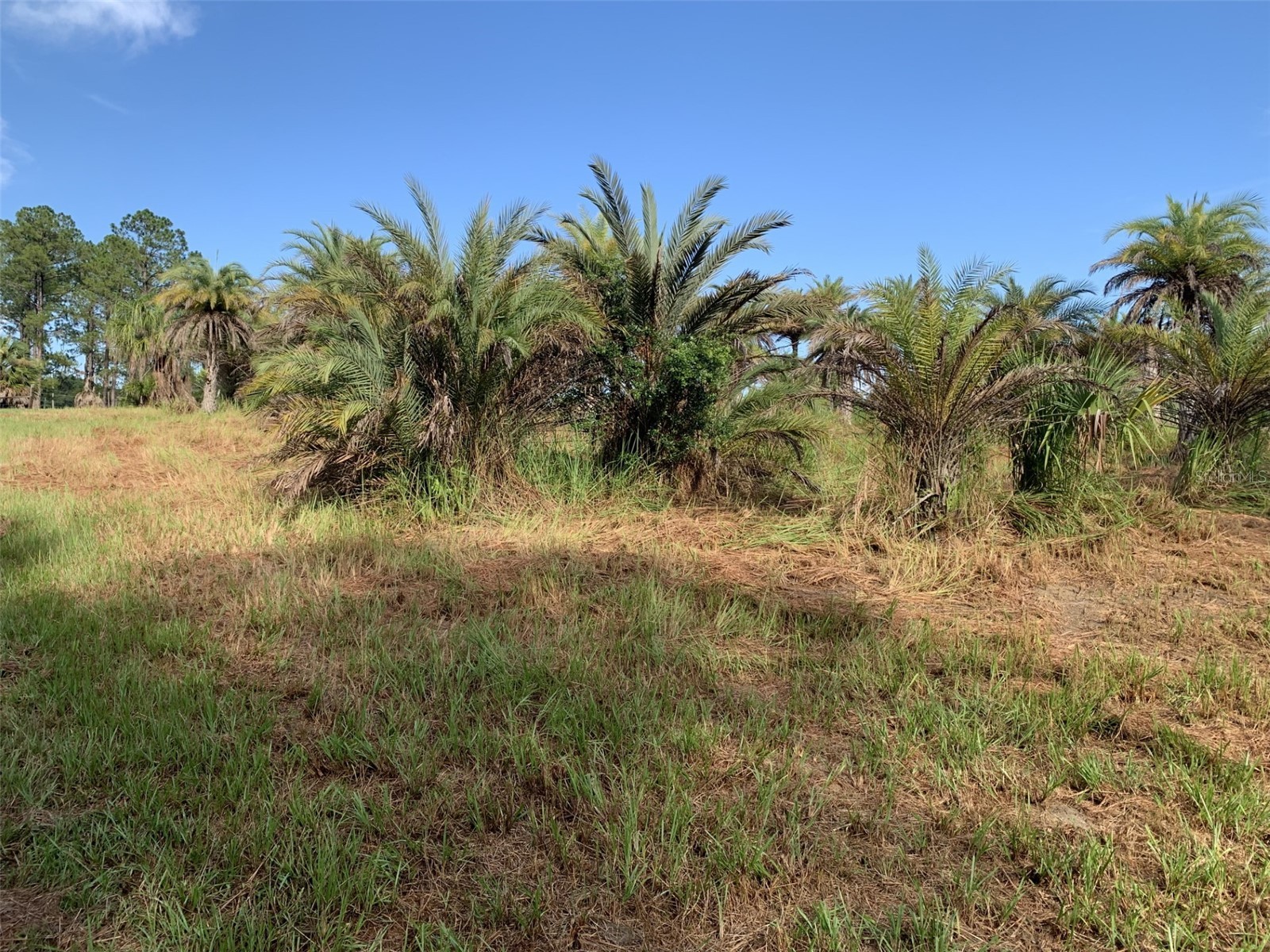 Dan Brown Hill Road #LOT 3 Brooksville FL 34602 TB8530375 image1