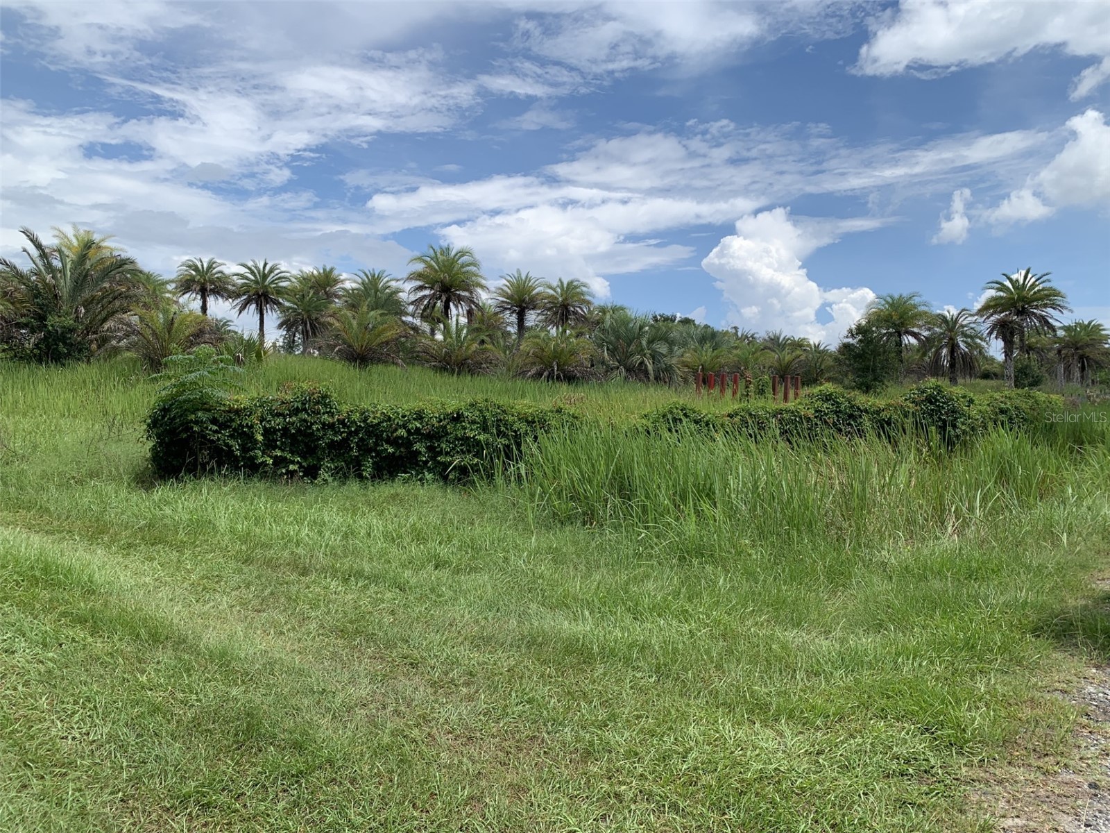 Dan Brown Hill Road #LOT 3 Brooksville FL 34602 TB8530375 image2
